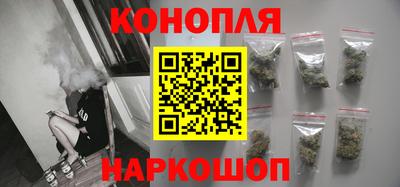сатива Коммунар