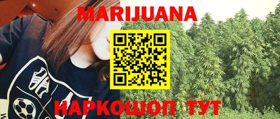 сатива Коммунар